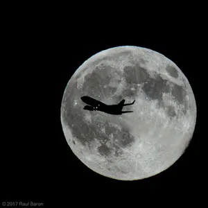 A photograph titled Flight