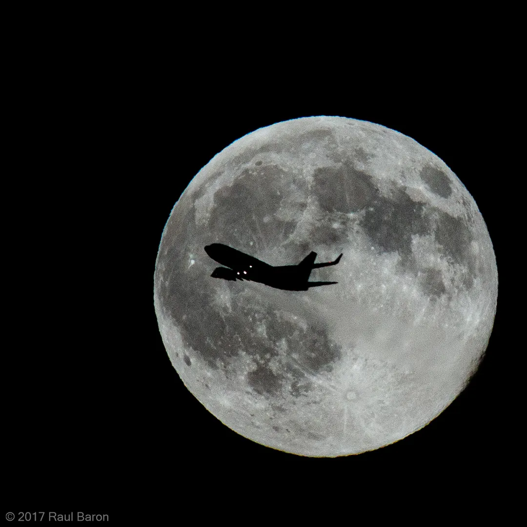 A photograph titled Flight