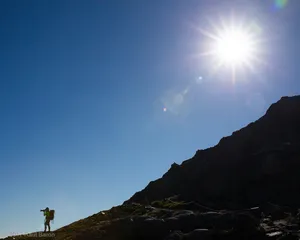 A photograph titled Back Light