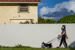 A photograph titled Walking the park