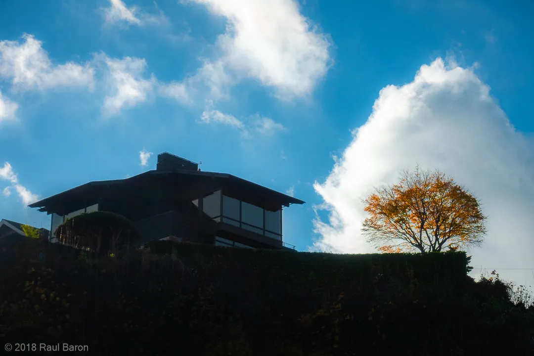 A photograph titled House, tree, sky