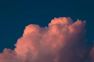 A photograph titled Cotton Candy