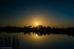 A photograph titled Morning Light