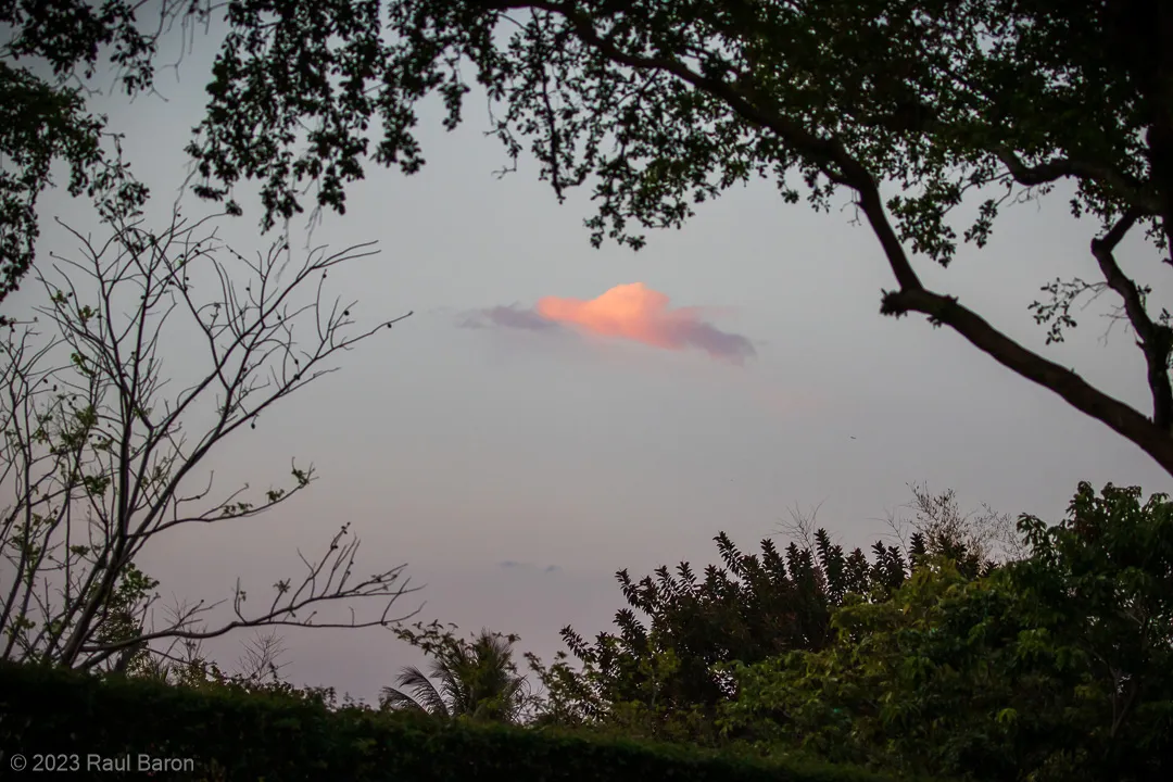 A photograph titled Cloud