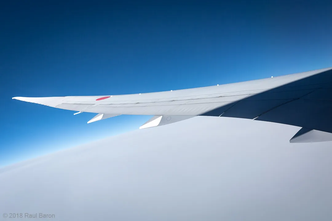 A photograph titled Wing