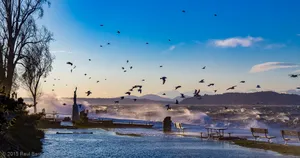 A photograph titled Blustery