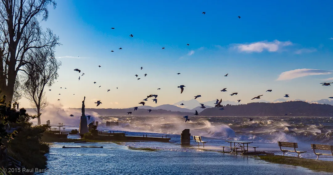 A photograph titled Blustery