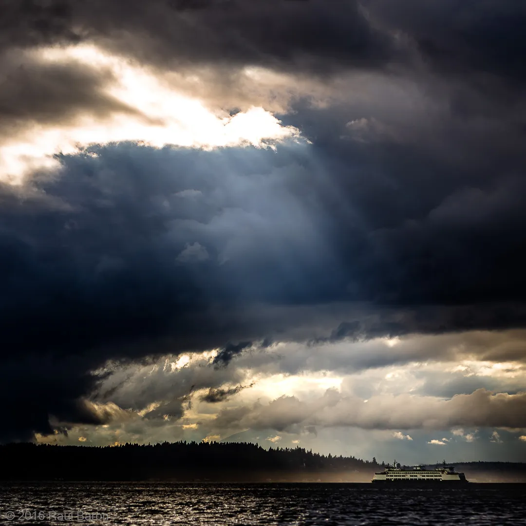 A photograph titled Revealed