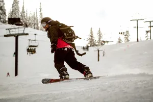 A photograph titled Steve