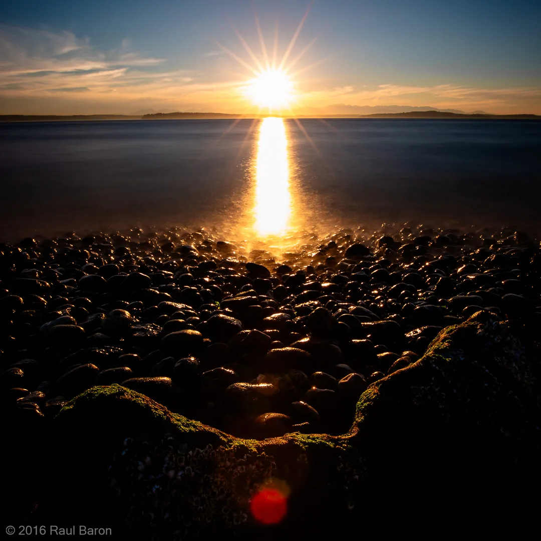 A photograph titled Light Show